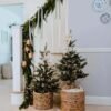 3_KingNobleFirTabletopTreewith70WarmWhiteLedLights 3' King Noble Fir Tabletop Tree with 70 Warm White LED Lights