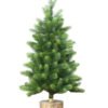 3' Royal Fir Tabletop Tree Unlit