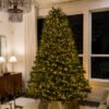 7.5' Aspen Fir Tree with 1400 Warm White & Multi-Color LED Lights