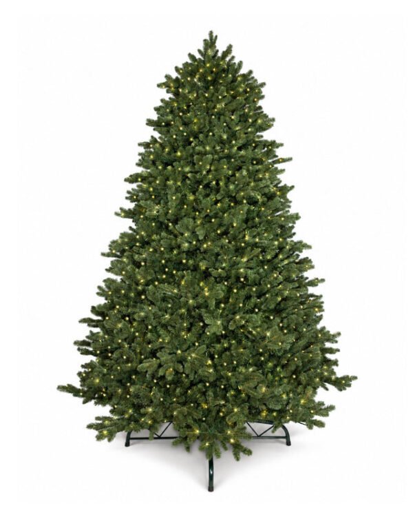 7.5' Aspen Fir Tree with 1400 Warm White & Multi-Color LED Lights