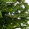 FRASERFIRTIPS 6.5' King Fraser Fir Artificial Christmas Tree with 750 Warm White LED Lights