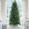 9' Royal Fir Slim Artificial Christmas Tree with 900 Warm White & Multi-Color LED Lights