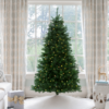 9' Hancock Spruce Artificial Christmas Tree 750 Warm White LED Lights
