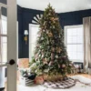9' King Fraser Fir Artificial Christmas Tree with 1800 Warm White & Multi-Color LED Lights