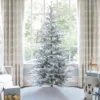 KingNobleFlock_2e17ee76-f4c0-4a67-843e-cfebfad1f1d4 9' King Noble Flock Artificial Christmas Tree with 700 Warm White LED Lights