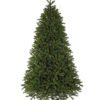 King_Fraser_Fir_Unlit_White_Background_Photo 12' King Fraser Fir Artificial Christmas Tree with 3000 Warm White & Multi-Color LED Lights