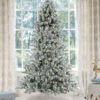 PrinceFlock_5024a958-646c-4413-8cbb-72107e8ba72d_1 10' Prince Flock® Artificial Christmas Tree with 750 Warm White LED Lights