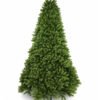 7.5' Royal Fir Artificial Christmas Tree Unlit