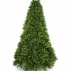 Royal_Fir_Full_White_Background_Unlit 9' Royal Fir Artificial Christmas Tree with 1200 Warm White & Multi-Color LED Lights