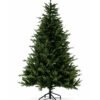 ScarletFirWhiteBackground 6.5' Scarlet Fir Artificial Christmas Tree Unlit