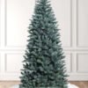 7' Tribeca Blue Spruce Slim Artificial Christmas Tree Unlit