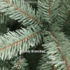 7' Tribeca Blue Spruce Artificial Christmas Tree Unlit