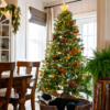 7.5' Scarlet Fir Artificial Christmas Tree Unlit