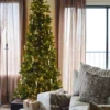 everyday.addy--snowflakes--2022-11-18-03-19-09--instagram_a329f5ab-57e3-4b5a-ad38-529413f2c548 9' King Douglas Fir Slim Artificial Christmas Tree Unlit