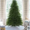 9' King Fraser Fir Artificial Christmas Tree with 1800 Warm White & Multi-Color LED Lights
